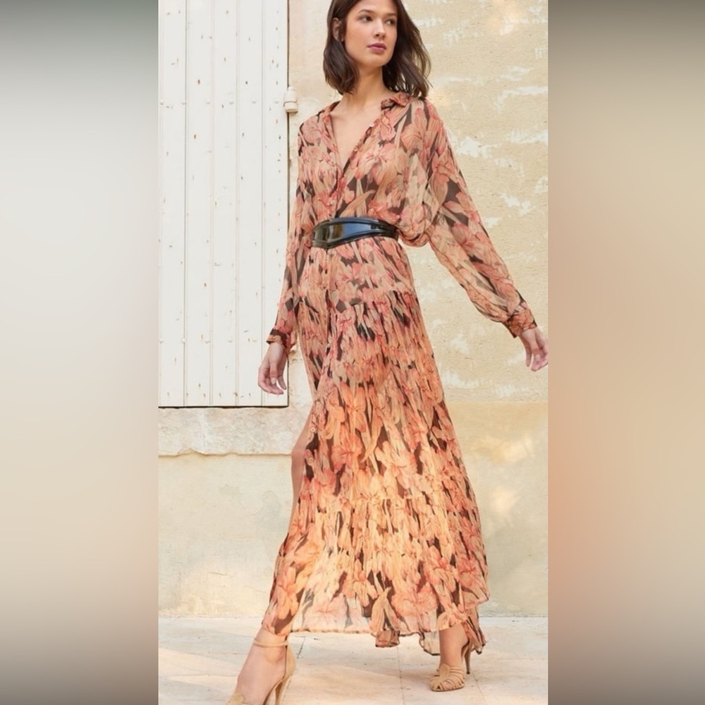 Anthropologie Mes Demoiselles Cerasi Dress